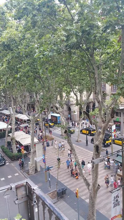 Guest house Hostal Mimi Las Ramblas Barcelona
